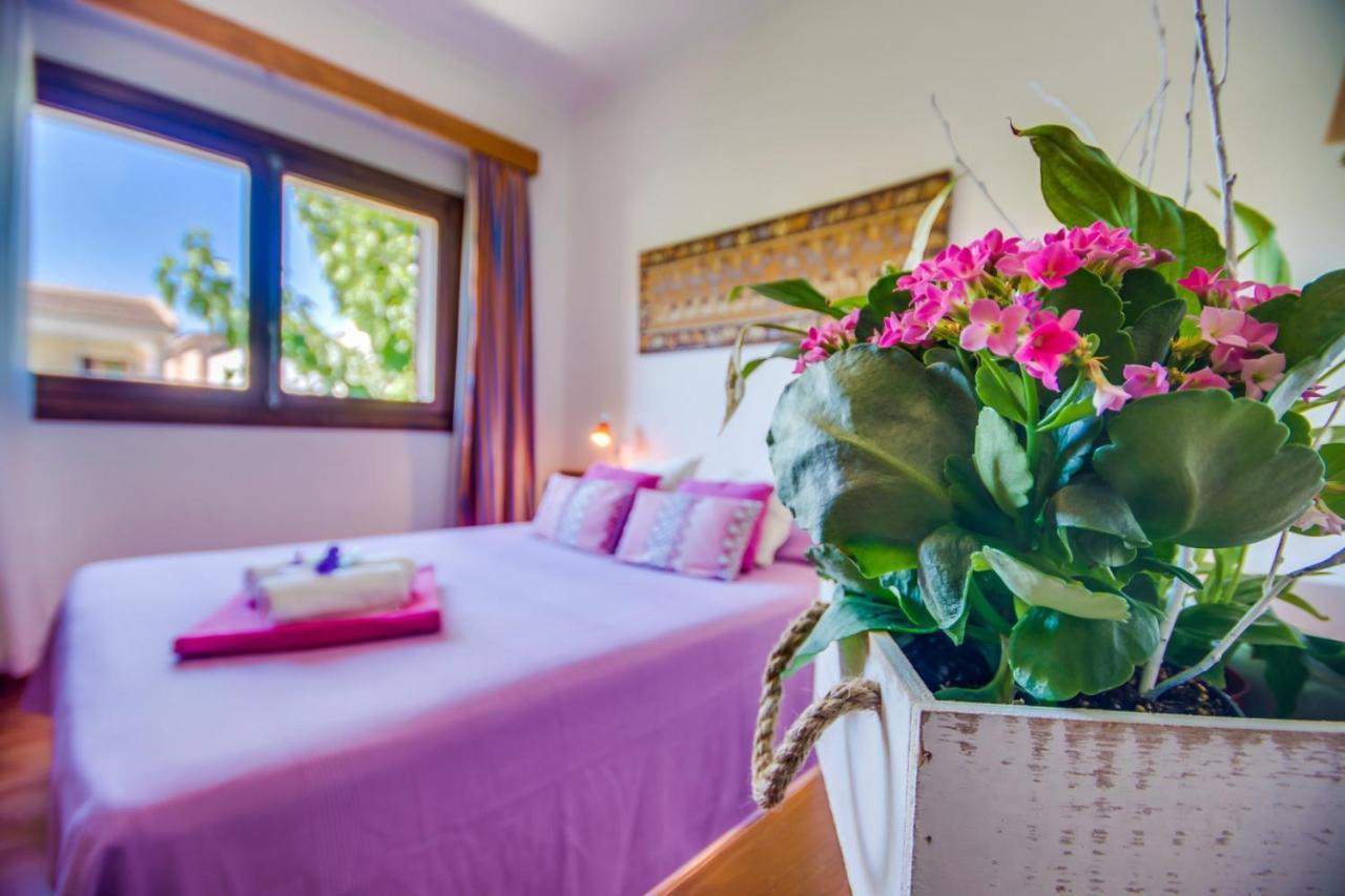 Ideal Property Mallorca - Angelo Can Picafort  Dış mekan fotoğraf